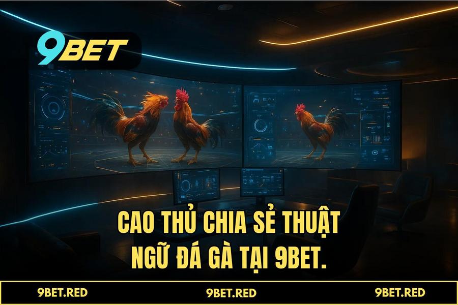 Tại sao 9BET là sự lựa chọn số 1 của cộng đồng đam mê đá gà trực tuyến 2026