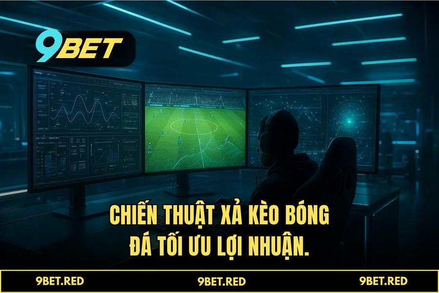 Giải mã biến động Odds: Điểm gãy của biểu đồ Pareto