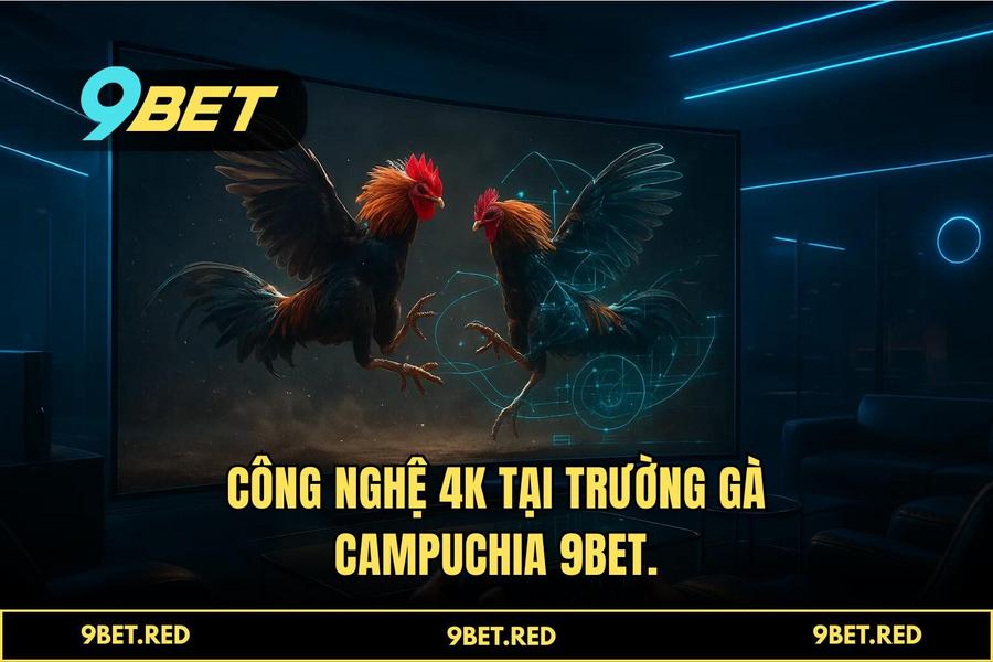 Công nghệ truyền hình trực tiếp 4K và hệ thống AI VAR giám sát trận đấu tại 9BET