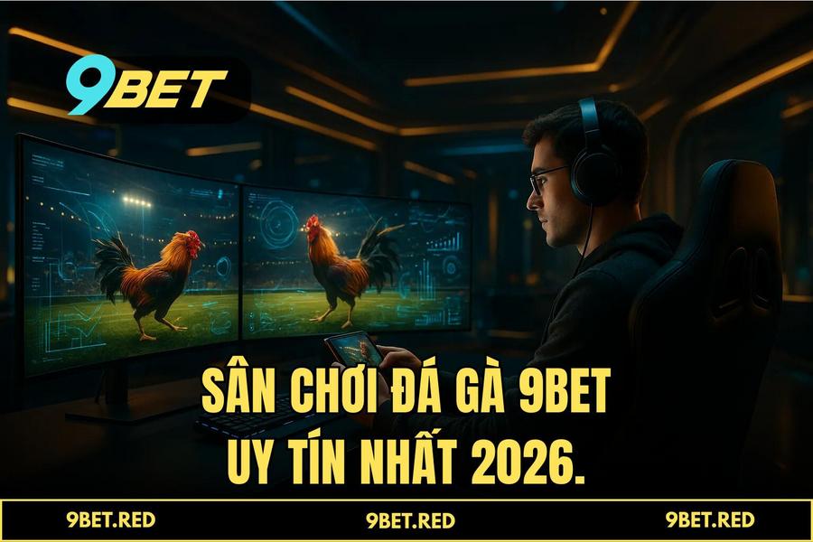 Tại sao 9BET là sự lựa chọn số 1 của cộng đồng đam mê đá gà trực tuyến 2026