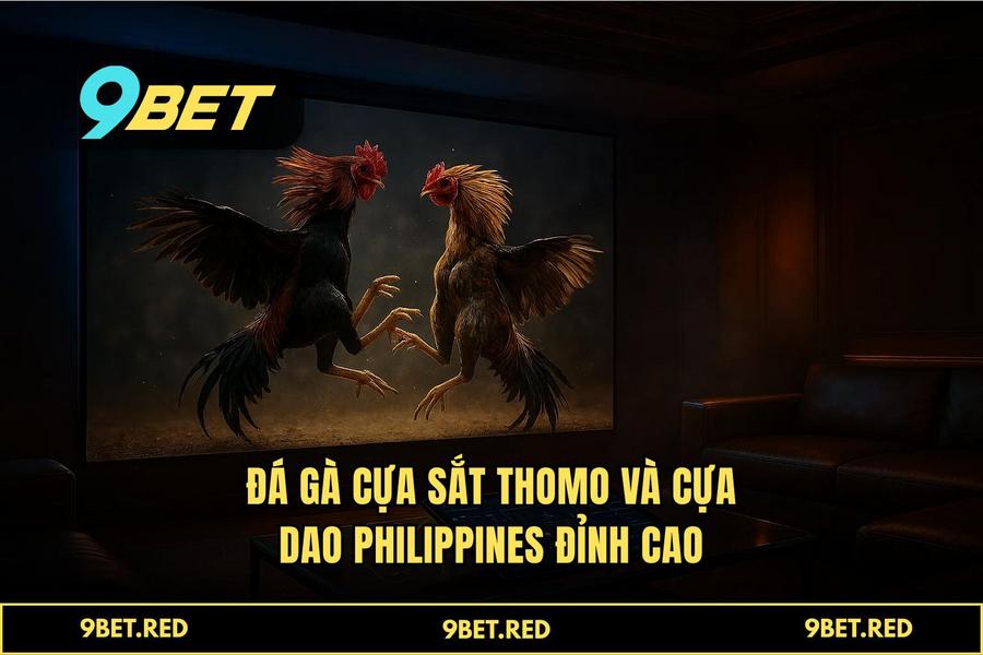 Phân tích các loại hình đá gà đỉnh cao: Từ cựa dao Philippines đến cựa sắt Thomo