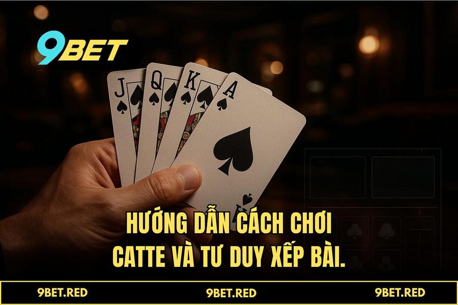 Luật sinh tồn: Chi tiết cách chơi và tư duy xếp bài tối ưu