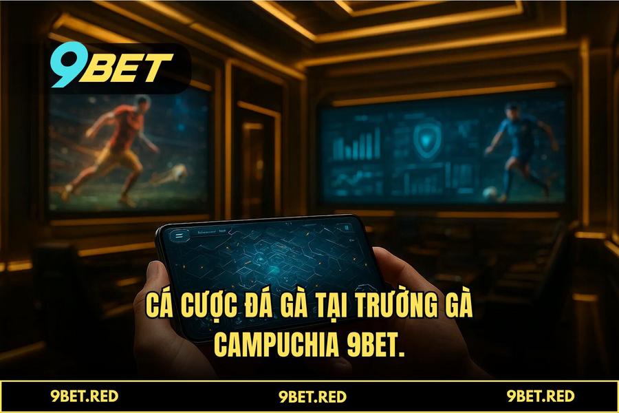 Tại sao 9BET là sự lựa chọn số 1 của cộng đồng đam mê đá gà trực tuyến 2026