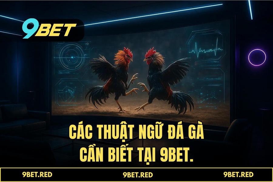 Công nghệ truyền hình trực tiếp 4K và hệ thống AI VAR giám sát trận đấu tại 9BET