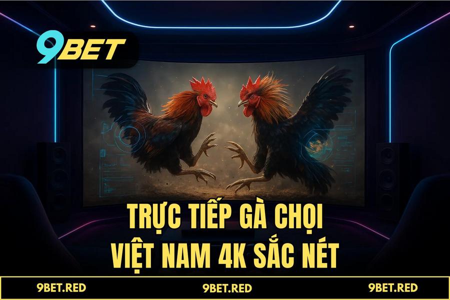 Công nghệ truyền hình trực tiếp 4K và hệ thống AI VAR giám sát trận đấu tại 9BET