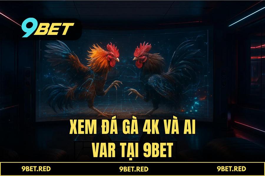 Bí kíp soi kèo và nhận diện chiến kê bách chiến bách thắng cho sư kê