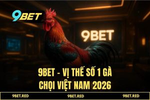 Gà chọi việt nam - Trực tiếp đá gà Thomo, Cựa dao 2026 tại 9BET