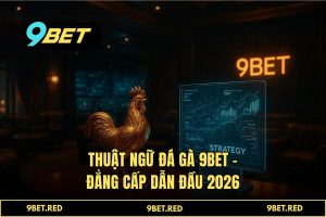 Thuật ngữ đá gà 2026: Giải mã bí mật đấu trường 9BET